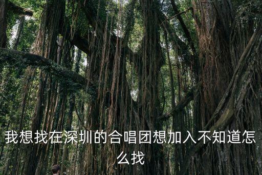 我想找在深圳的合唱團想加入不知道怎么找