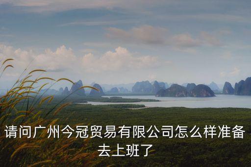 請問廣州今冠貿易有限公司怎么樣準備去上班了