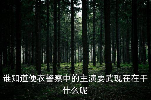 誰知道便衣警察中的主演要武現在在干什么呢