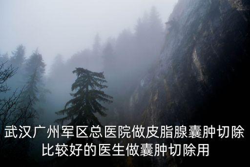 廣州軍區總醫院周蘭，廣州軍區總醫院