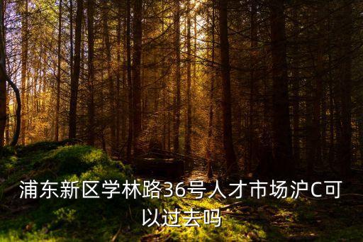 浦東新區(qū)學(xué)林路36號人才市場滬C可以過去嗎