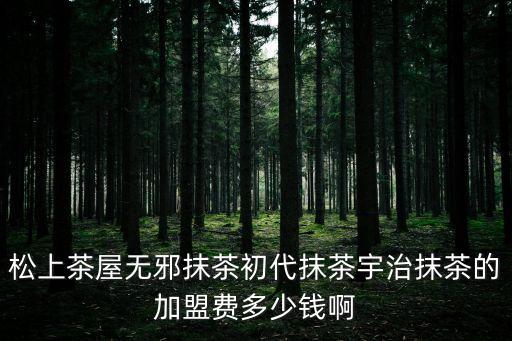 深圳宇治茶鋪，宇治抹茶好喝嗎
