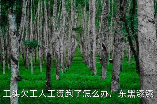 工頭欠工人工資跑了怎么辦廣東黑漆漆