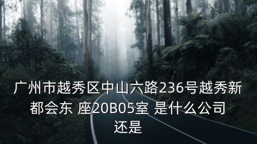 廣州市越秀區中山六路236號越秀新都會東 座20B05室 是什么公司還是