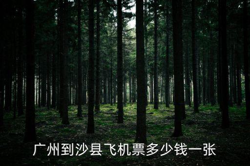 廣州到沙縣飛機票多少錢一張