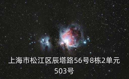 上海市松江區辰塔路56號8棟2單元503號