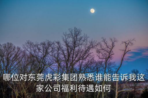 哪位對東莞虎彩集團熟悉誰能告訴我這家公司福利待遇如何