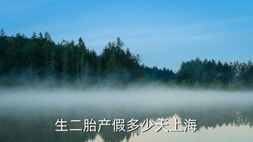 上海市二胎男士陪產(chǎn)假，2016上海生二胎男士有沒有陪產(chǎn)假