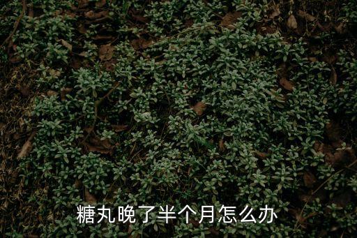 糖丸晚了半個月怎么辦