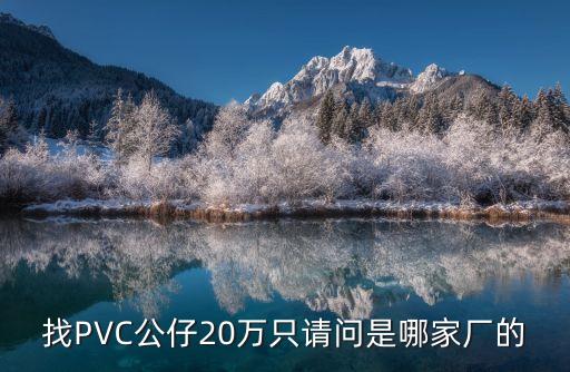找PVC公仔20萬只請問是哪家廠的