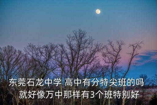 在東莞市石龍中學(xué)讀書是怎樣體驗(yàn)，東莞市石龍鎮(zhèn)的龍中你覺得怎么樣