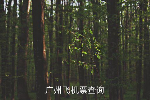 廣州飛機票查詢