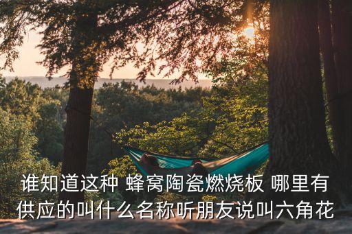誰知道這種 蜂窩陶瓷燃燒板 哪里有供應的叫什么名稱聽朋友說叫六角花