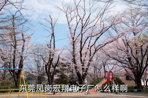 東莞宏笙電子公司怎么樣，東莞鳳崗宏翔電子廠怎么樣啊