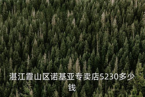 湛江霞山區(qū)諾基亞專賣店5230多少錢