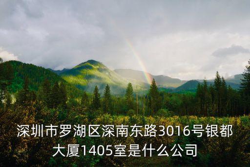 深圳市羅湖區深南東路3016號銀都大廈1405室是什么公司