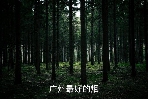廣州最好的煙