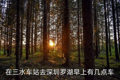 三水火車站深圳，三水到深圳鹽田怎么坐車急