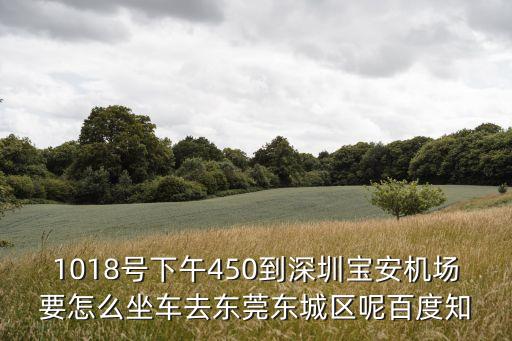 1018號下午450到深圳寶安機場要怎么坐車去東莞東城區呢百度知