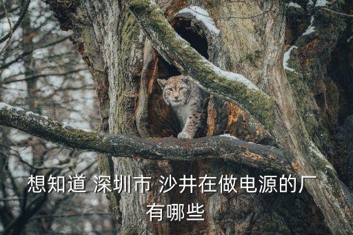 想知道 深圳市 沙井在做電源的廠 有哪些
