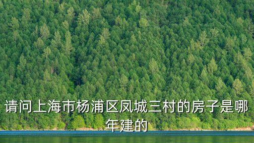 請問上海市楊浦區鳳城三村的房子是哪年建的