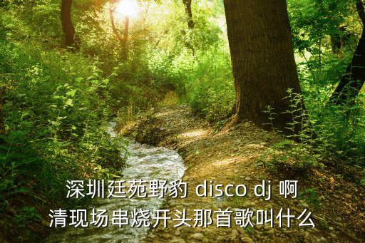 深圳廷苑野豹 disco dj 啊清現(xiàn)場串燒開頭那首歌叫什么