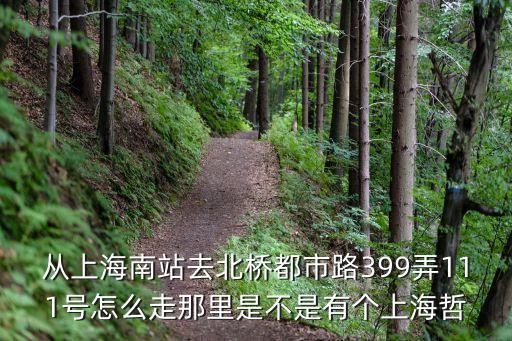 從上海南站去北橋都市路399弄111號怎么走那里是不是有個上海哲