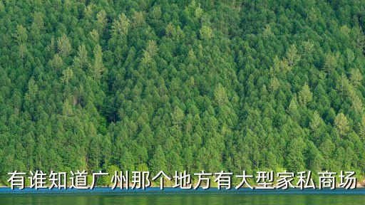 廣州家裝百貨商場，廣州有哪些家具商城