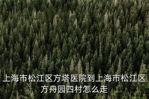 上海市松江區(qū)方塔醫(yī)院到上海市松江區(qū)方舟園四村怎么走