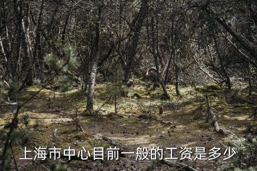 上海市中心目前一般的工資是多少