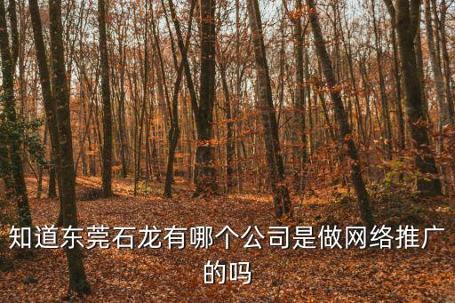 知道東莞石龍有哪個(gè)公司是做網(wǎng)絡(luò)推廣的嗎