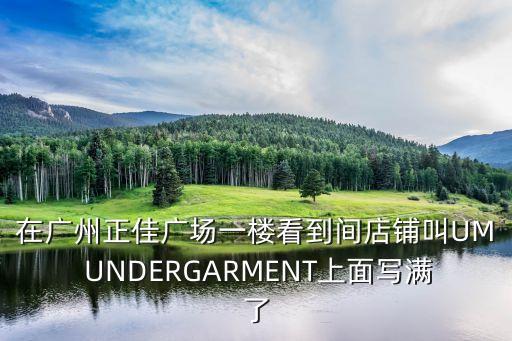 在廣州正佳廣場一樓看到間店鋪叫UM UNDERGARMENT上面寫滿了