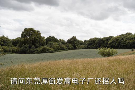 東莞2008年莞愛高電子廠，請問東莞厚街愛高電子廠還招人嗎