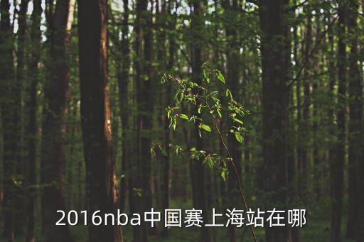 2016nba中國賽上海站在哪