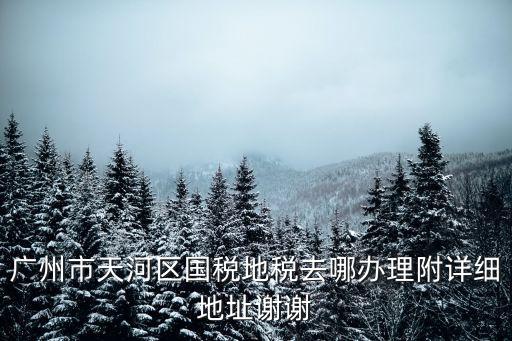 廣州航天稅盤天河區(qū)，廣州市天河區(qū)在哪里申請地稅務(wù)登記