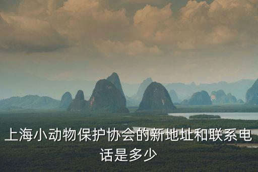 上海小動物保護協會的新地址和聯系電話是多少