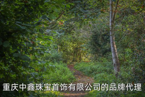 重慶深圳締結城區，深圳市南山區總工會與深圳市檔案館哪個福利待遇好