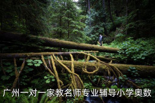 廣州小學奧數老師簡介，廣州一對一家教名師專業輔導小學奧數