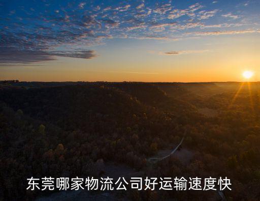 東莞哪家物流公司好運輸速度快