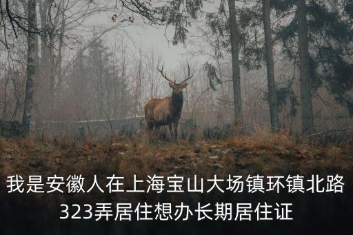 我是安徽人在上海寶山大場鎮環鎮北路323弄居住想辦長期居住證