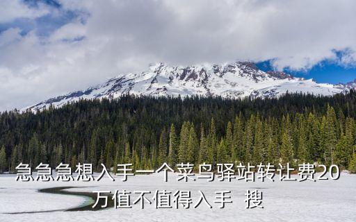 急急急想入手一個菜鳥驛站轉讓費20萬值不值得入手  搜