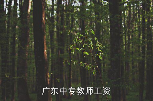 廣東中專教師工資