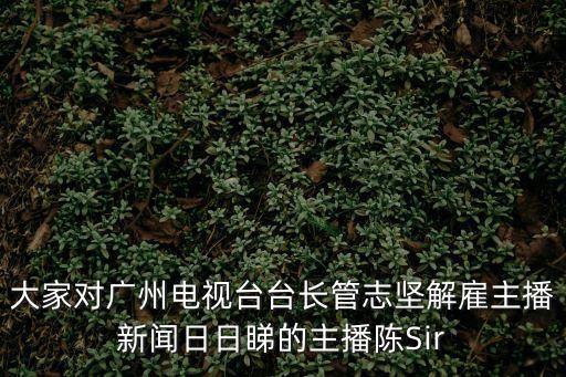 大家對廣州電視臺臺長管志堅解雇主播新聞日日睇的主播陳Sir