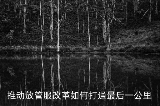 推動(dòng)放管服改革如何打通最后一公里