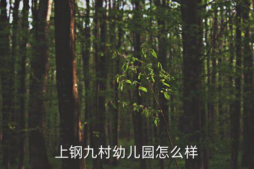 上鋼九村幼兒園怎么樣