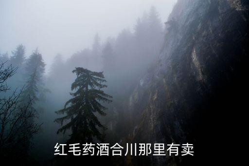 洞口到深圳58，從湖南省洞口縣到深圳橫崗怎樣坐車