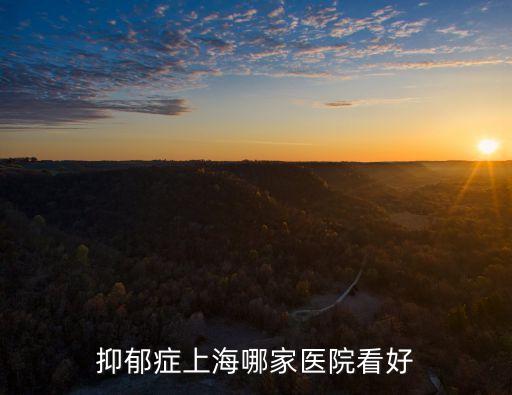 上海市精神衛生抑郁癥醫院，推薦一下 上海最好精神病醫院