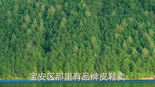寶安區那里有品牌皮鞋賣