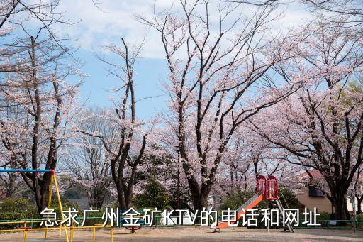 廣州金礦ktv預訂網絡，金礦ktv價格