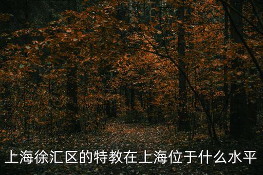 上海徐匯區(qū)的特教在上海位于什么水平